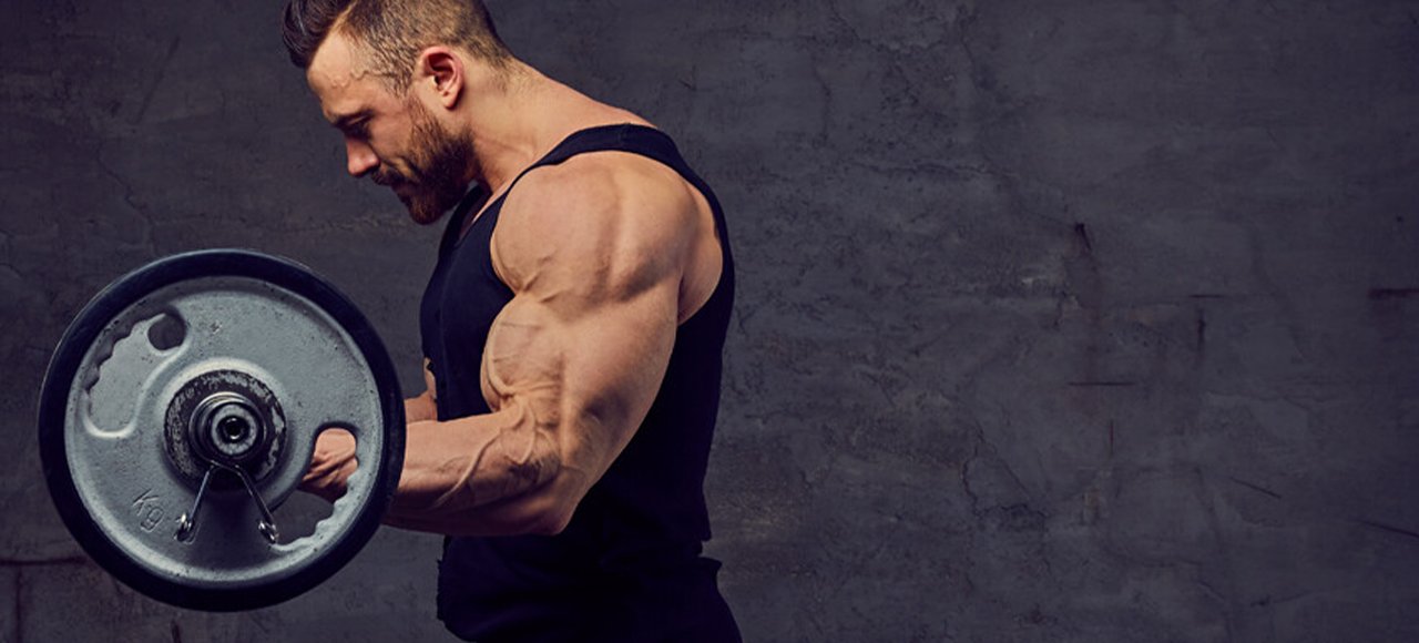Guia Completo: Ganho Muscular – Dúvidas Comuns Respondidas (1)