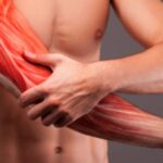 Guia Completo: Ganho Muscular - Dúvidas Comuns Respondidas (3)