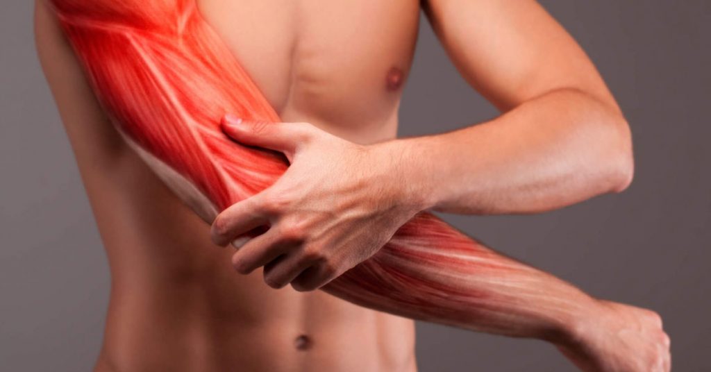 Guia Completo: Ganho Muscular – Dúvidas Comuns Respondidas (3)